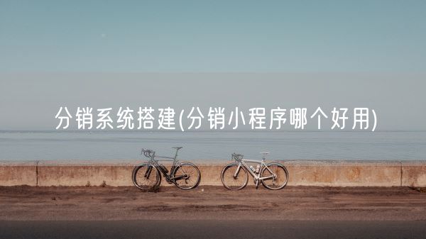 分销系统搭建(分销小程序哪个好用)(图1)