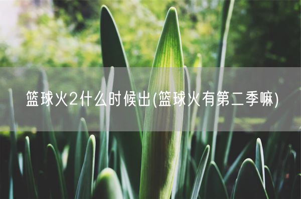 篮球火2什么时候出(篮球火有第二季嘛)(图1)