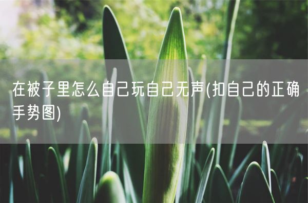 在被子里怎么自己玩自己无声(扣自己的正确手势图)(图1)