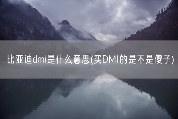 比亚迪dmi是什么意思(买DMI的是不是傻子)(图1)