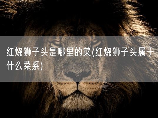 红烧狮子头是哪里的菜(红烧狮子头属于什么菜系)(图1)