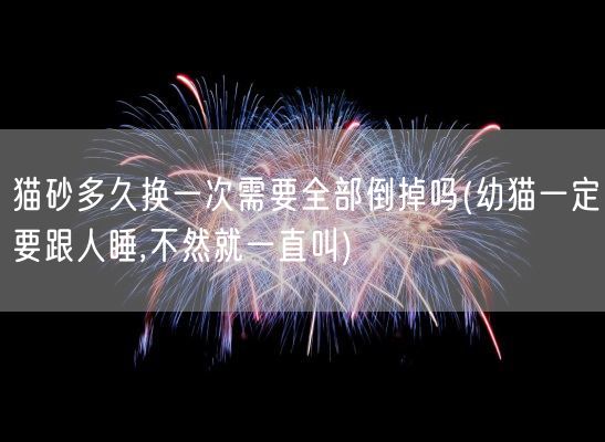 猫砂多久换一次需要全部倒掉吗(幼猫一定要跟人睡,不然就一直叫)(图1)