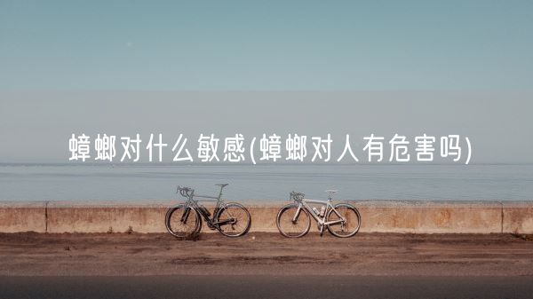 蟑螂对什么敏感(蟑螂对人有危害吗)(图1)