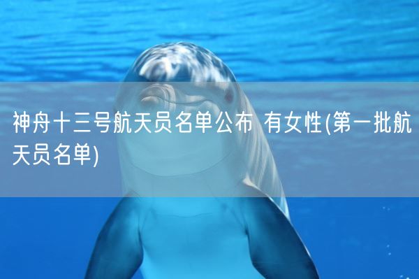 神舟十三号航天员名单公布 有女性(第一批航天员名单)(图1)