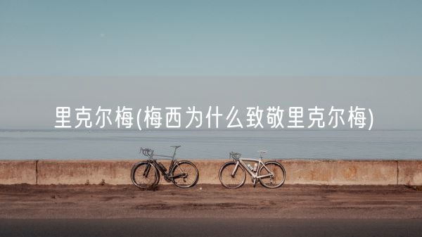 里克尔梅(梅西为什么致敬里克尔梅)(图1)