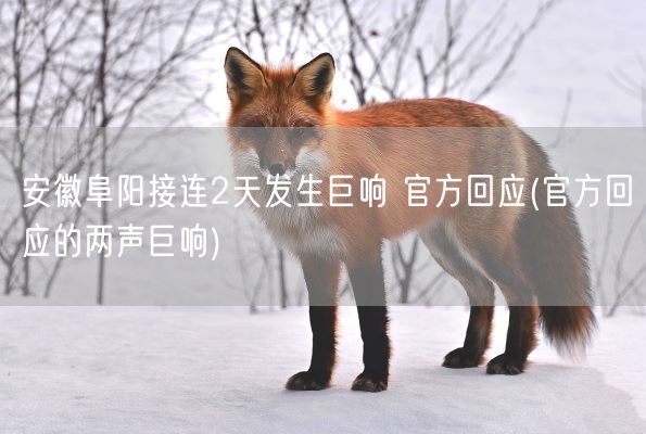 安徽阜阳接连2天发生巨响 官方回应(官方回应的两声巨响)(图1)