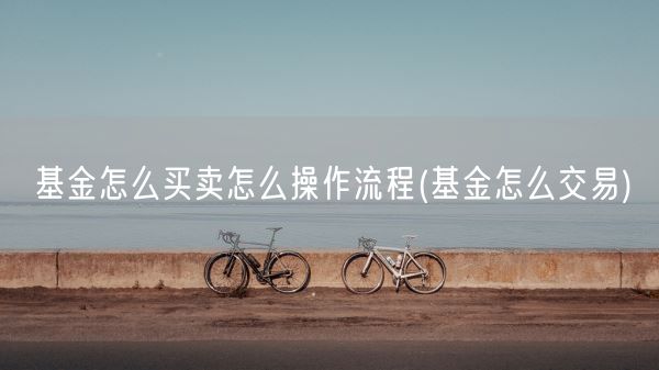 基金怎么买卖怎么操作流程(基金怎么交易)(图1)