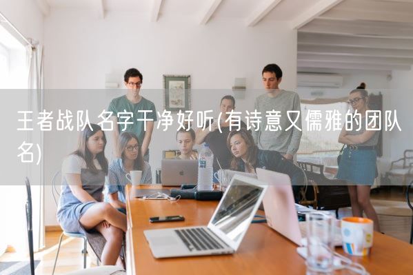 王者战队名字干净好听(有诗意又儒雅的团队名)(图1)