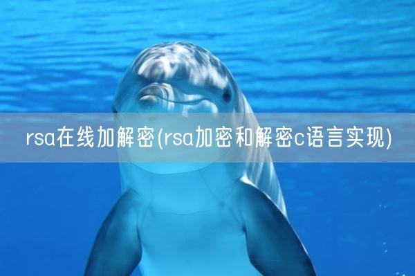 rsa在线加解密(rsa加密和解密c语言实现)(图1)