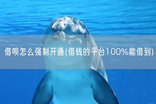 借呗怎么强制开通(借钱的平台100%能借到)(图1)