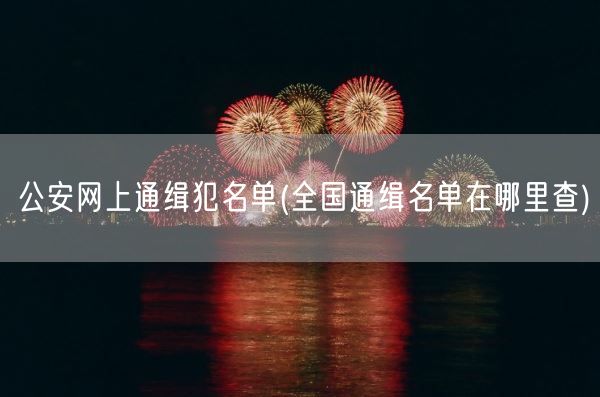 公安网上通缉犯名单(全国通缉名单在哪里查)(图1)