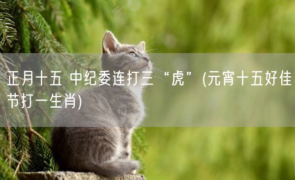 正月十五 中纪委连打三“虎”(元宵十五好佳节打一生肖)(图1)