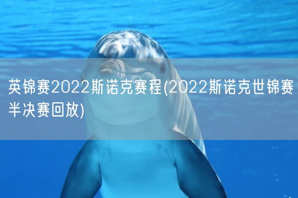 英锦赛2022斯诺克赛程(2022斯诺克世锦赛半决赛回放)(图1)