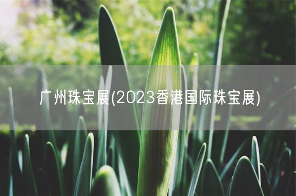 广州珠宝展(2023香港国际珠宝展)(图1)