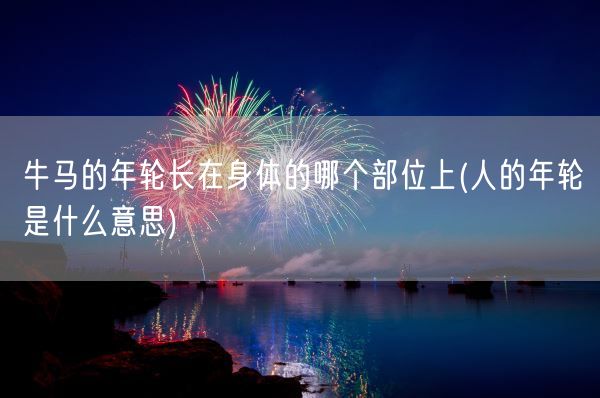 牛马的年轮长在身体的哪个部位上(人的年轮是什么意思)(图1) 牛马的年轮长在身体的哪个部位上(人的年轮是什么意思)(图1)