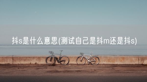 抖s是什么意思(测试自己是抖m还是抖s)(图1)