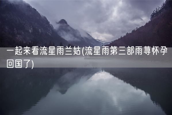 一起来看流星雨兰姑(流星雨第三部雨荨怀孕回国了)(图1)