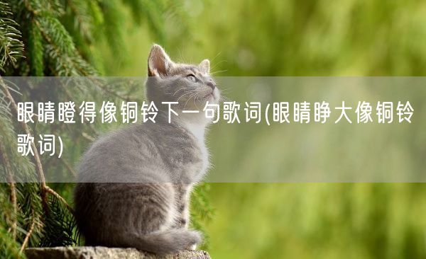 眼睛瞪得像铜铃下一句歌词(眼睛睁大像铜铃歌词)(图1) 眼睛瞪得像铜铃下一句歌词(眼睛睁大像铜铃歌词)(图1)