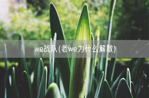 we战队(老we为什么解散)(图1)