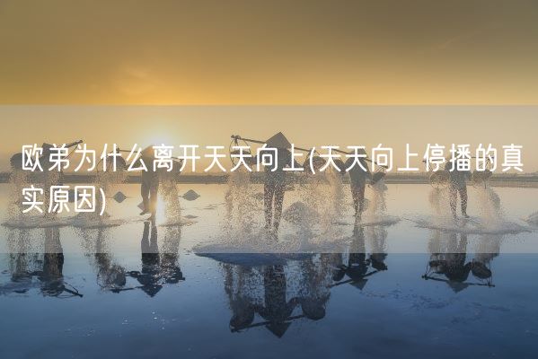 欧弟为什么离开天天向上(天天向上停播的真实原因)(图1)