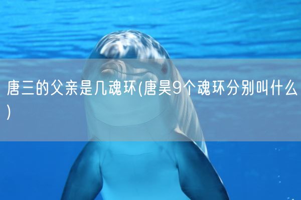 唐三的父亲是几魂环(唐昊9个魂环分别叫什么)(图1) 唐三的父亲是几魂环(唐昊9个魂环分别叫什么)(图1)