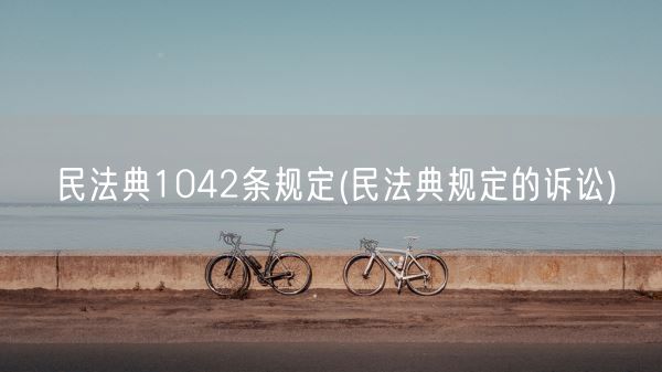 民法典1042条规定(民法典规定的诉讼)(图1)