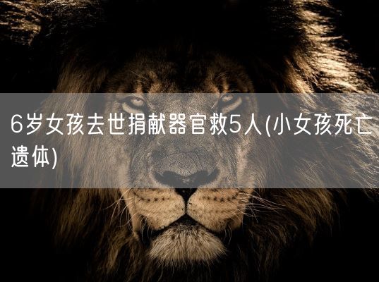 6岁女孩去世捐献器官救5人(小女孩死亡遗体)(图1)