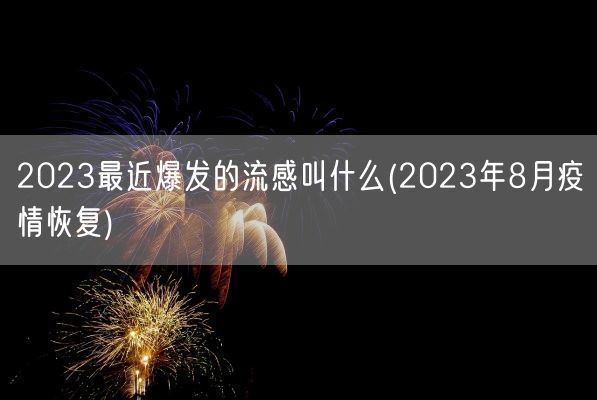 2023最近爆发的流感叫什么(2023年8月疫情恢复)(图1)
