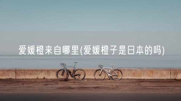 爱媛橙来自哪里(爱媛橙子是日本的吗)(图1)