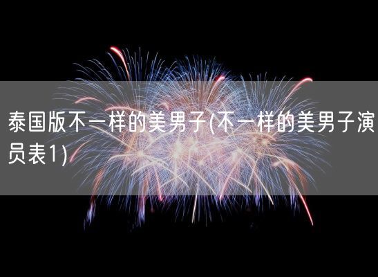 泰国版不一样的美男子(不一样的美男子演员表1)(图1)