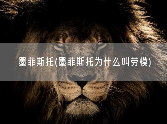 墨菲斯托(墨菲斯托为什么叫劳模)(图1)