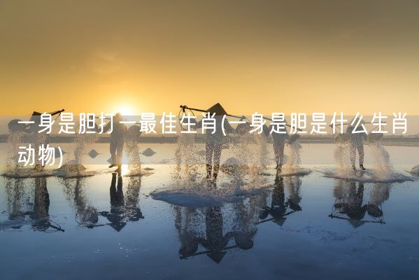 一身是胆打一最佳生肖(一身是胆是什么生肖动物)(图1)