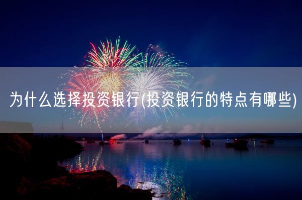 为什么选择投资银行(投资银行的特点有哪些)(图1)