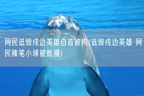 网民诋毁戍边英雄自首被拘(诋毁戍边英雄 网民辣笔小球被批捕)(图1)