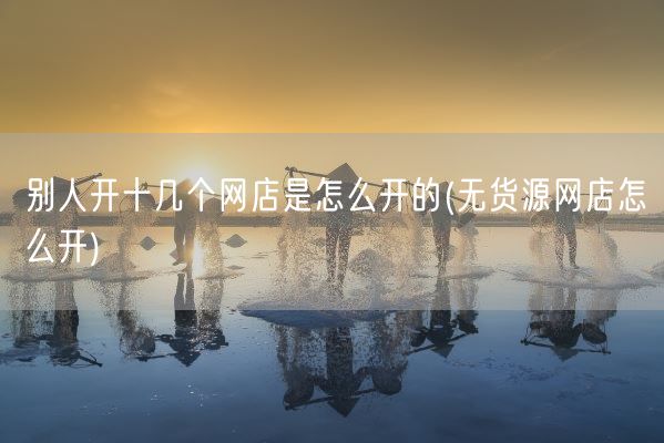 别人开十几个网店是怎么开的(无货源网店怎么开)(图1)