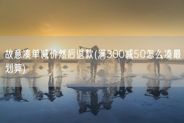 故意凑单减价然后退款(满300减50怎么凑最划算)(图1)