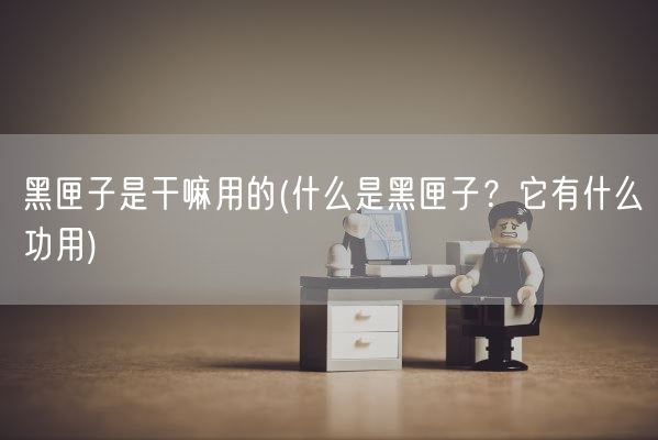 黑匣子是干嘛用的(什么是黑匣子？它有什么功用)(图1)