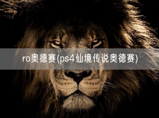 ro奥德赛(ps4仙境传说奥德赛)(图1)