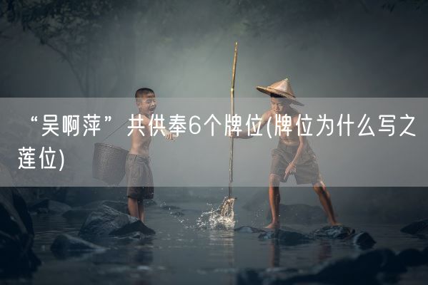 “吴啊萍”共供奉6个牌位(牌位为什么写之莲位)(图1)