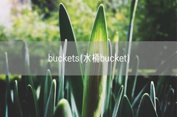 buckets(水桶bucket)(图1)