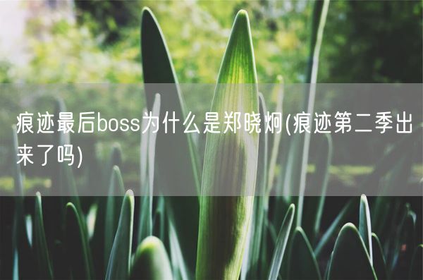 痕迹最后boss为什么是郑晓炯(痕迹第二季出来了吗)(图1)