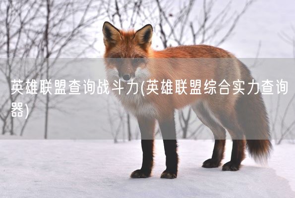 英雄联盟查询战斗力(英雄联盟综合实力查询器)(图1)