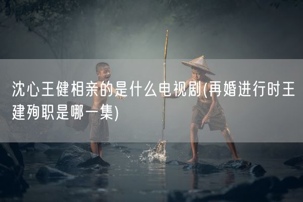 沈心王健相亲的是什么电视剧(再婚进行时王建殉职是哪一集)(图1) 沈心王健相亲的是什么电视剧(再婚进行时王建殉职是哪一集)(图1)