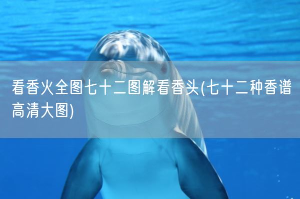 看香火全图七十二图解看香头(七十二种香谱高清大图)(图1)