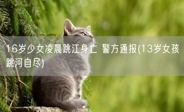 16岁少女凌晨跳江身亡 警方通报(13岁女孩跳河自尽)(图1)