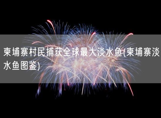 柬埔寨村民捕获全球最大淡水鱼(柬埔寨淡水鱼图鉴)(图1)