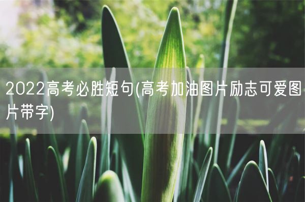 2022高考必胜短句(高考加油图片励志可爱图片带字)(图1)