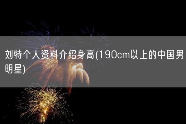 刘特个人资料介绍身高(190cm以上的中国男明星)(图1)
