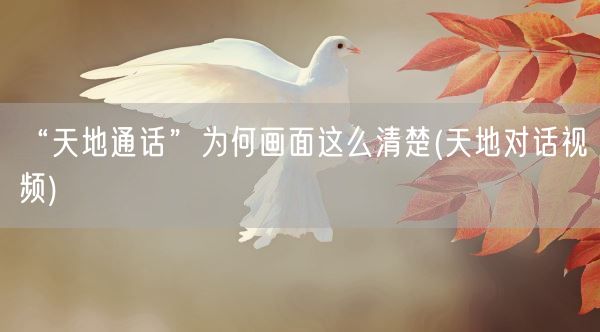 “天地通话”为何画面这么清楚(天地对话视频)(图1)