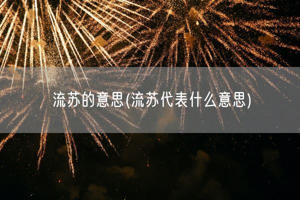 流苏的意思(流苏代表什么意思)(图1)